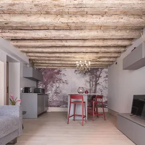 https://san-pietro-cozy-studio-rr.hotelinveneto.com